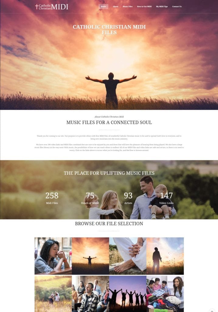 Website Design San Antonio Cheap Affordable Internet Marketing Stone Oak Alamo Heights SEO Search Engine Optimization Google Odd Duck Media