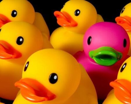 san antonio internet marketing company seo ppc social media management online advertising