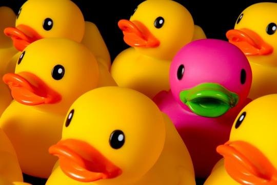 san antonio internet marketing company seo ppc social media management online advertising